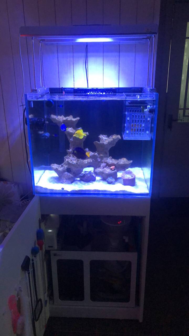 zz60底滤海缸 海水驿站
