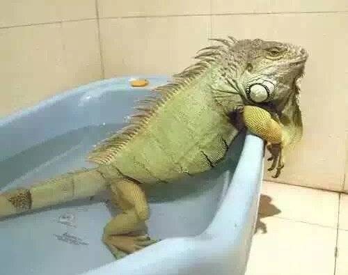 395