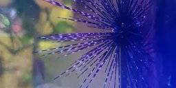 128