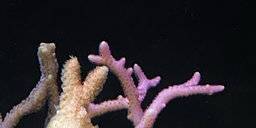 128