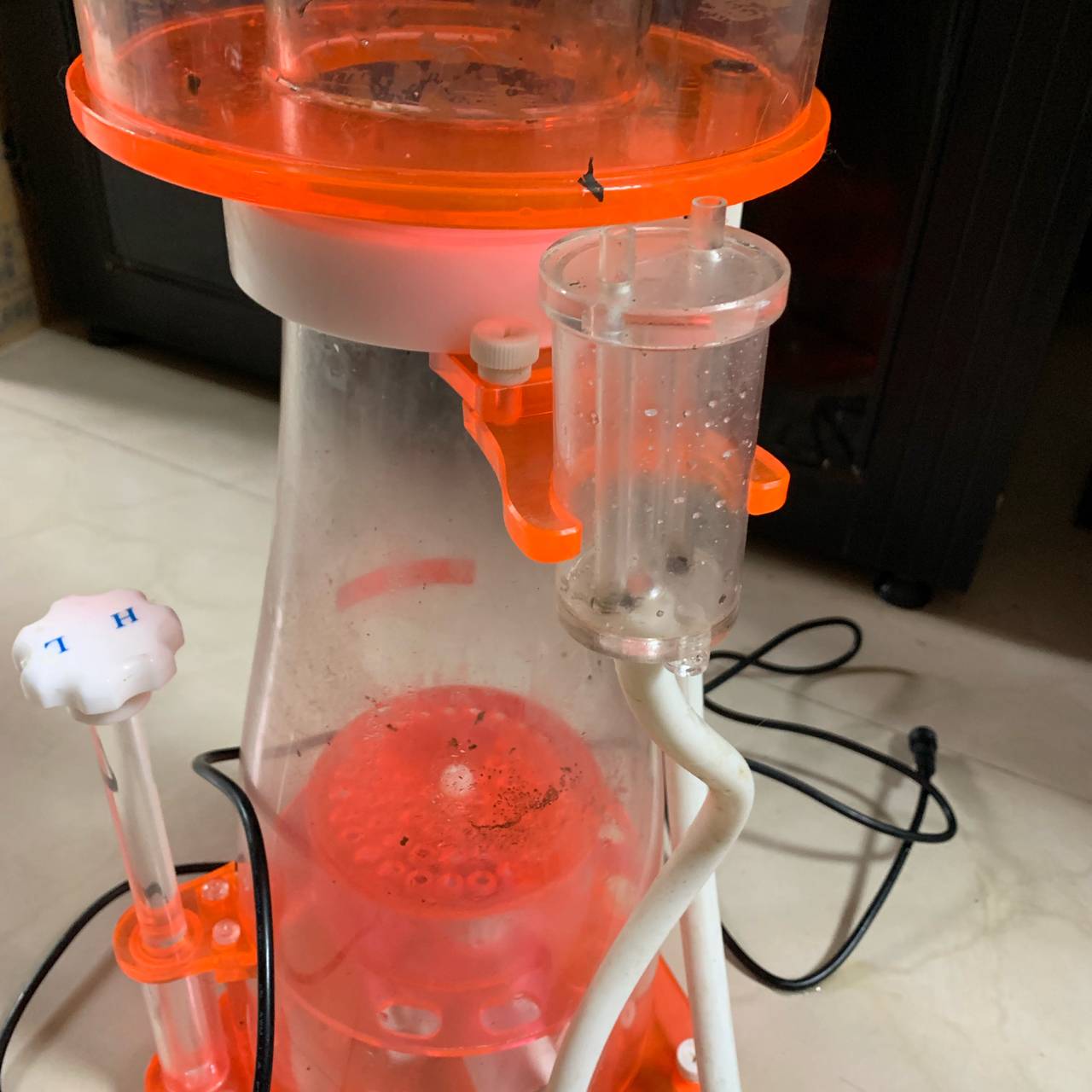 key硬骨led灯红海星蛋分